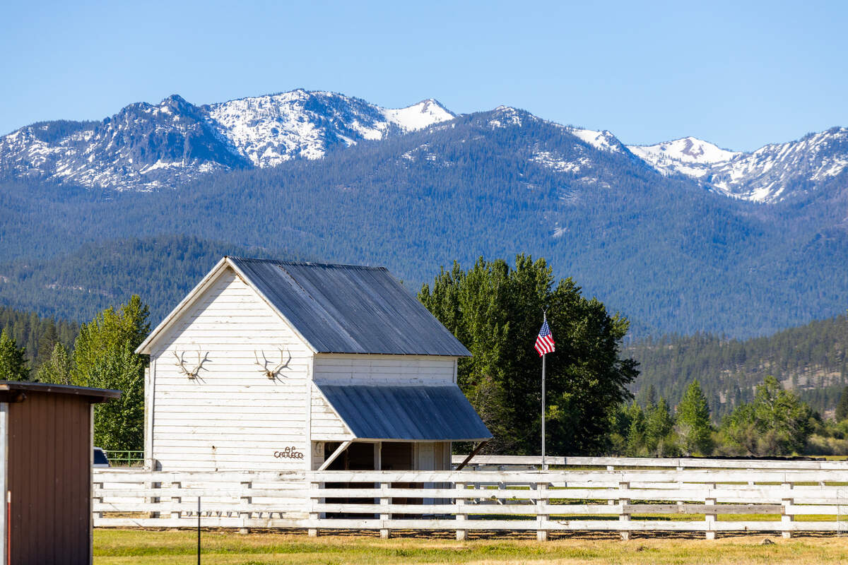 The snowcapped peaks, trout streams and snowmelt-fed rivers of Klamath National Forest and Marble Mountain, Russian and Trinity Alps wilderness areas are near AP Ranch.